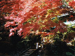 �ʐ^ �R���e�X�g 