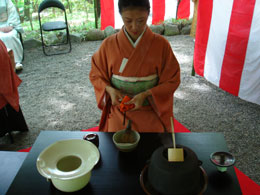 ���T���̎��R������