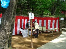 ���T���̎��R������