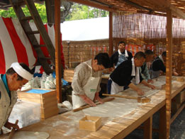 ���T���̎��R������